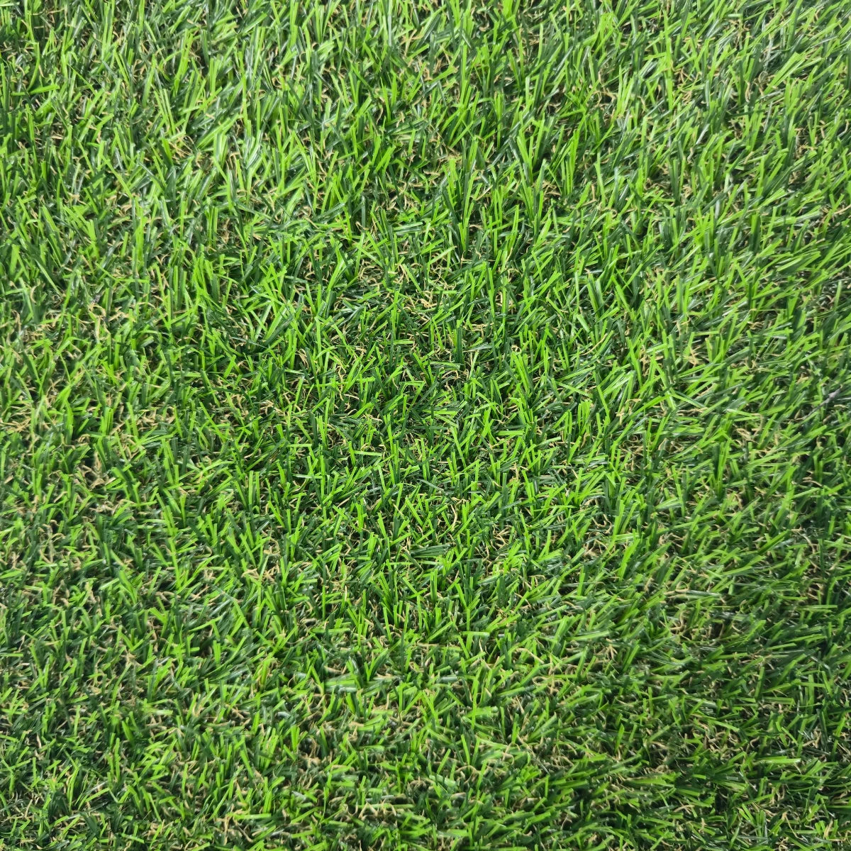 Pasto sintético Vivo Grass - 15mm - PS1501VG