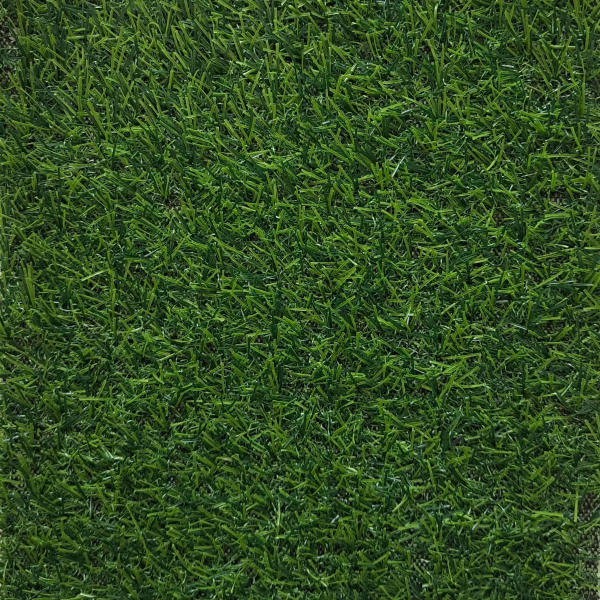 Pasto Sintético - 15mm - Línea Standard - PS15LM