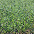 Pasto Sintético 20mm-Línea Vivo Turf - PS2002LS