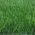 Pasto Sintético - 30mm - Línea Eco Green - PS3001LE